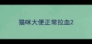 猫咪大便正常拉血