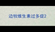 边牧维生素过多症