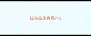 拉布拉多肩高71