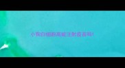 小狗白细胞高能注射疫苗吗
