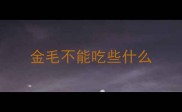 金毛不能吃些什么