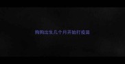 狗狗出生几个月开始打疫苗