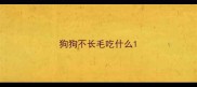 狗狗不长毛吃什么