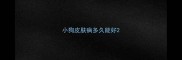 小狗皮肤病多久能好