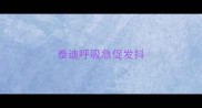 泰迪呼吸急促发抖