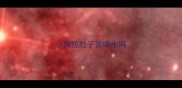 小狗拉肚子能喝水吗