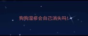 狗狗湿疹会自己消失吗