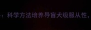拉布拉多训练全攻略科学方法培养导盲犬级服从性附20天训练计划表