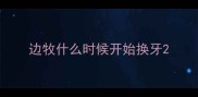 边牧什么时候开始换牙