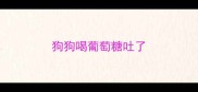 狗狗喝葡萄糖吐了