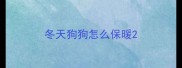 冬天狗狗怎么保暖
