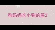 狗妈妈吃小狗的屎