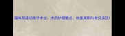猫咪尿道切除手术全术后护理要点恢复周期与常见误区