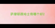 萨摩耶跟哈士奇哪个好