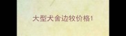 大型犬舍边牧价格