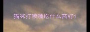 猫咪打喷嚏吃什么药好