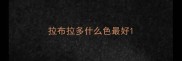 拉布拉多什么色最好