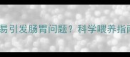 金毛犬饮食过量易引发肠胃问题科学喂养指南与应急处理全