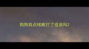 狗狗有点咳嗽打了疫苗吗