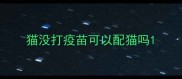 猫没打疫苗可以配猫吗
