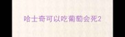 哈士奇可以吃葡萄会死