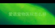 爱诺宠物医院怎么样