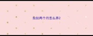 拉拉两个月怎么养
