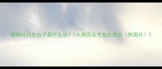 狗狗吐白色虫子是什么虫7大原因及专业处理全附图片