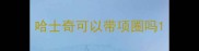 哈士奇可以带项圈吗