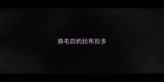 换毛后的拉布拉多