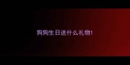 狗狗生日送什么礼物