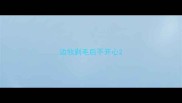 边牧剃毛后不开心