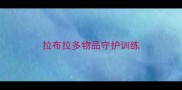拉布拉多物品守护训练