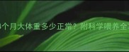 美短幼猫4个月大体重多少正常附科学喂养全攻略