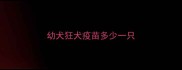 幼犬狂犬疫苗多少一只