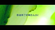 泰迪得了疥螨怎么办