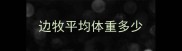 边牧平均体重多少