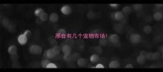 邢台有几个宠物市场