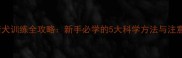 金毛猎犬训练全攻略新手必学的5大科学方法与注意事项