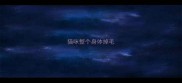 猫咪整个身体掉毛