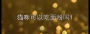 猫咪可以吃面粉吗