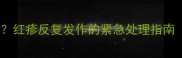 狗狗身上全是红点点怎么办红疹反复发作的紧急处理指南附护理全攻略新手必看