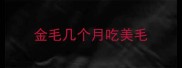 金毛几个月吃美毛
