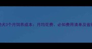 泰迪幼犬3个月饲养成本月均花费必知费用清单及省钱技巧