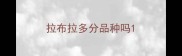 拉布拉多分品种吗