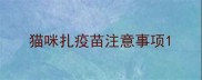 猫咪扎疫苗注意事项