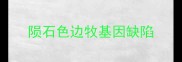 陨石色边牧基因缺陷
