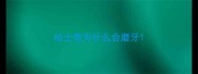 哈士奇为什么会磨牙