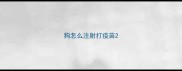 狗怎么注射打疫苗