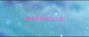 宠物狗怀孕怎么办